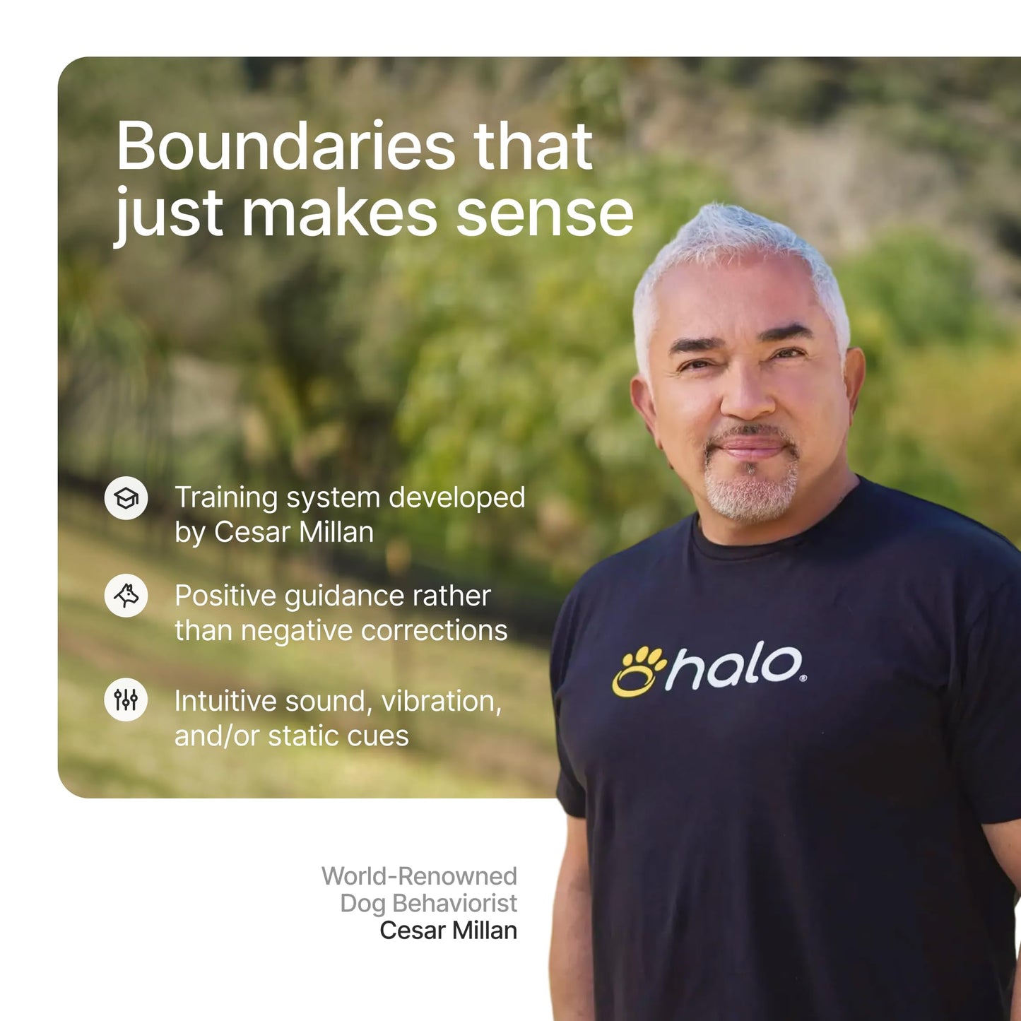 Halo Collar 5 GPS Wireless Dog Fence