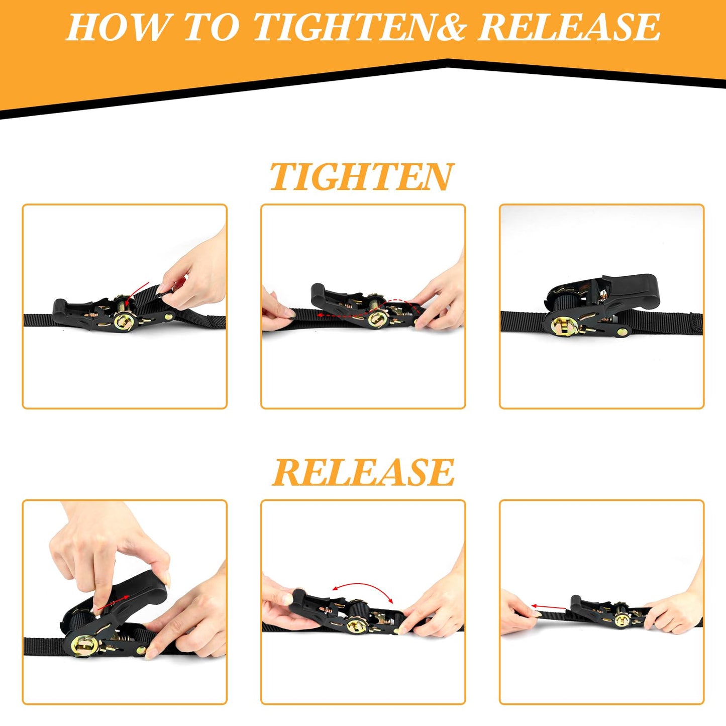 Adjustable Dual-Dog Vehicle Tether & Restraint System