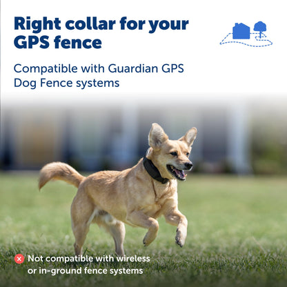 Subscription-Free GPS Dog Collar with Wireless Fence
