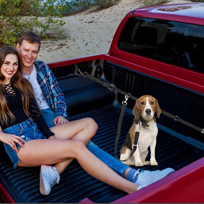 Adjustable Dual-Dog Vehicle Tether & Restraint System
