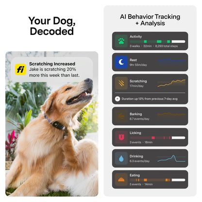 Fi Series 3+ Smart Dog Collar, GPS + Health Tracking, 6-Month Membership