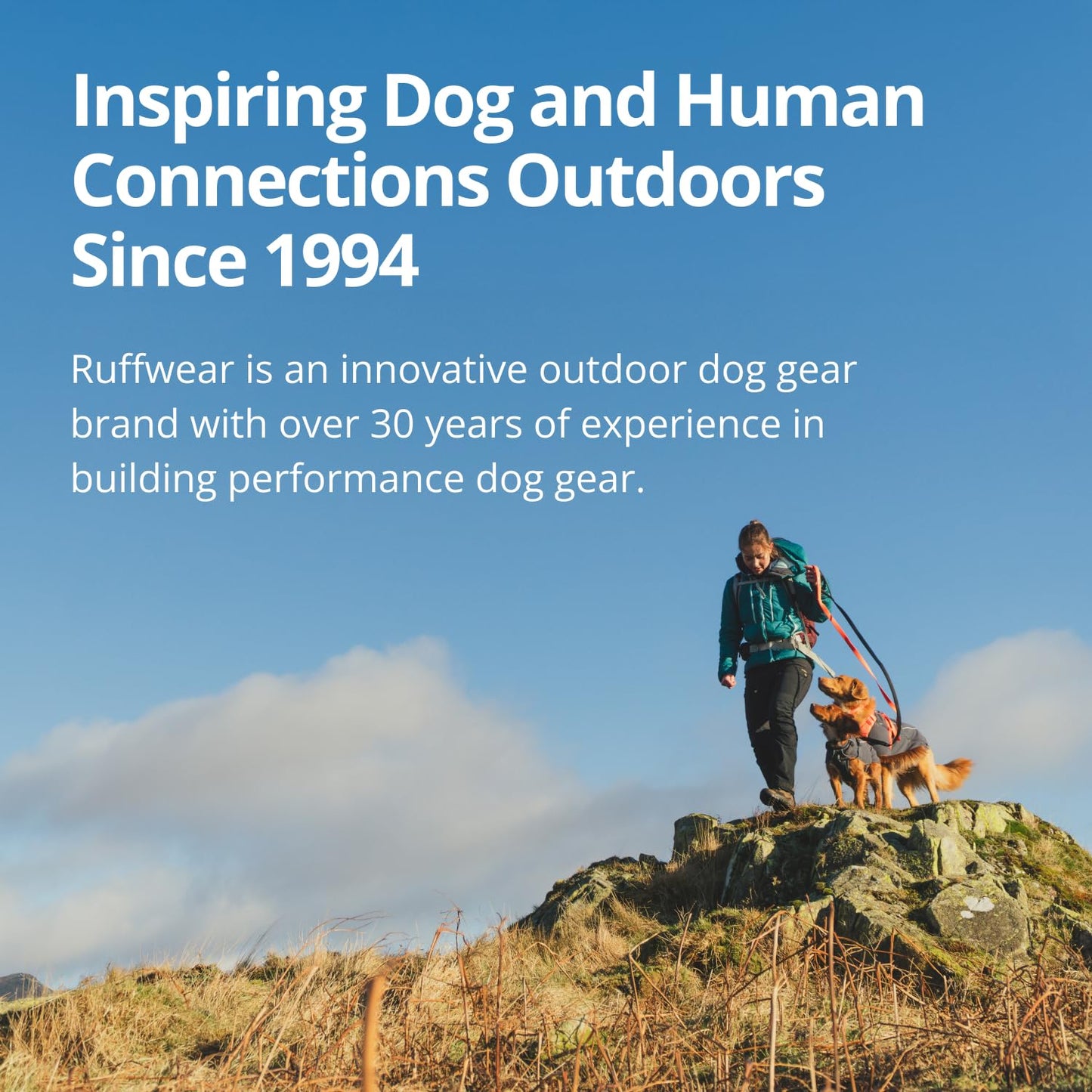 Ruffwear, Ridgeline Dog Harness