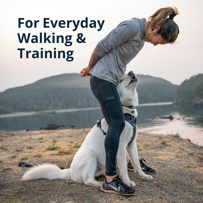 Reflective Padded Dog Harness with Dual Leash Clips