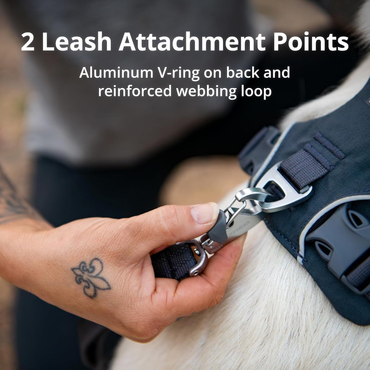 Reflective Padded Dog Harness with Dual Leash Clips