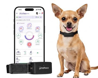 AI Dog Health Collar with Vital Signs, GPS & Vet Sharing