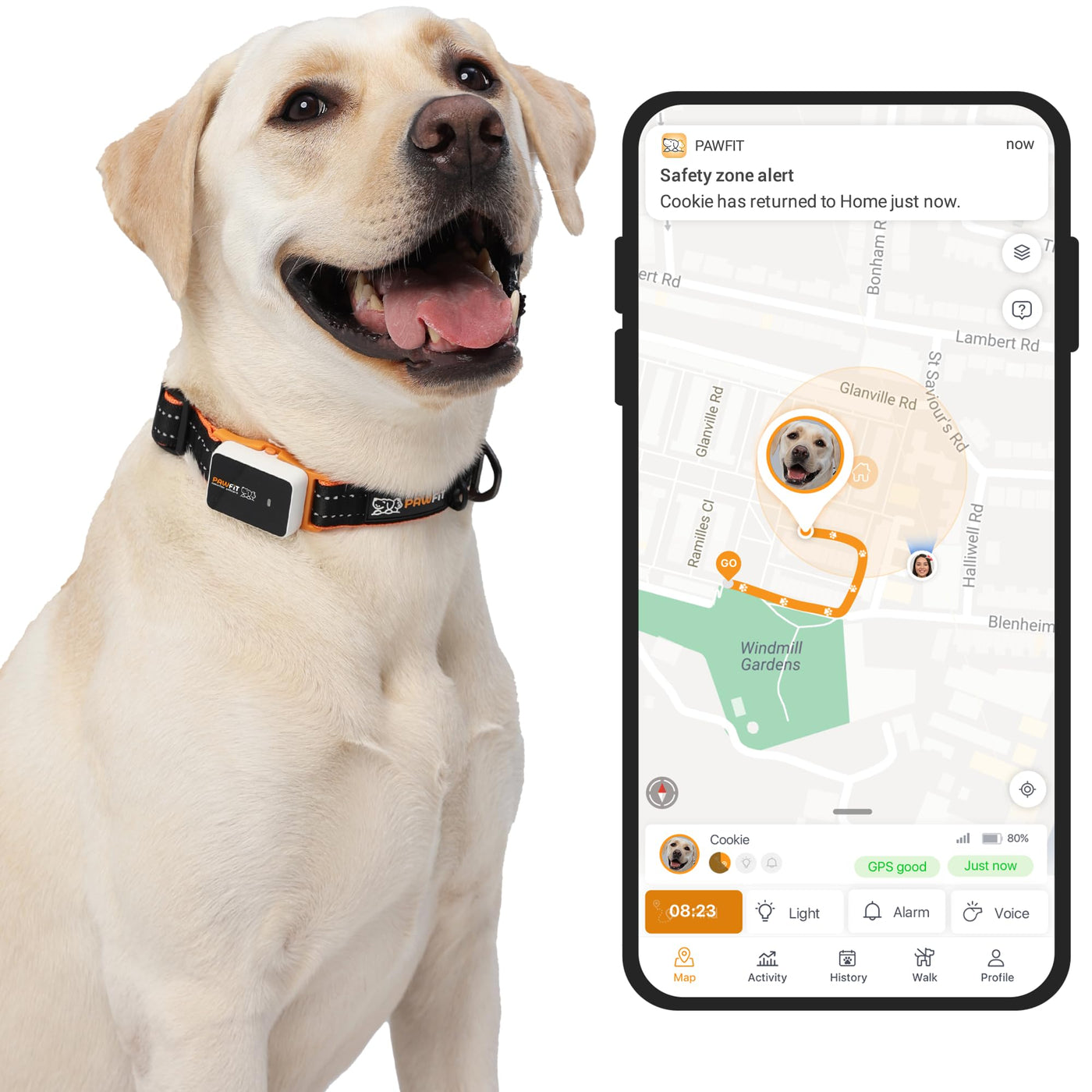 4G GPS Pet Tracker with Live Tracking & Activity Monitoring