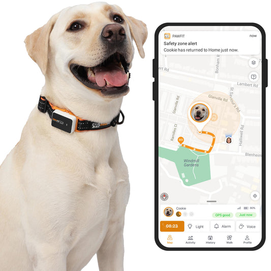 4G GPS Pet Tracker with Live Tracking & Activity Monitoring
