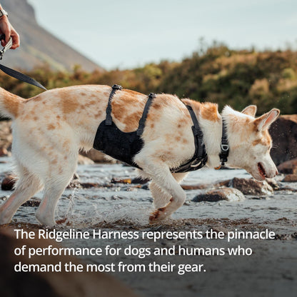 Ruffwear, Ridgeline Dog Harness