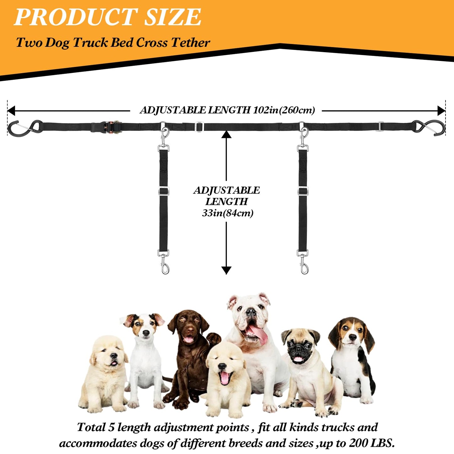Adjustable Dual-Dog Vehicle Tether & Restraint System