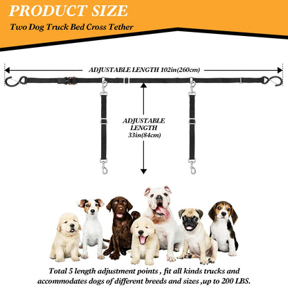 Adjustable Dual-Dog Vehicle Tether & Restraint System