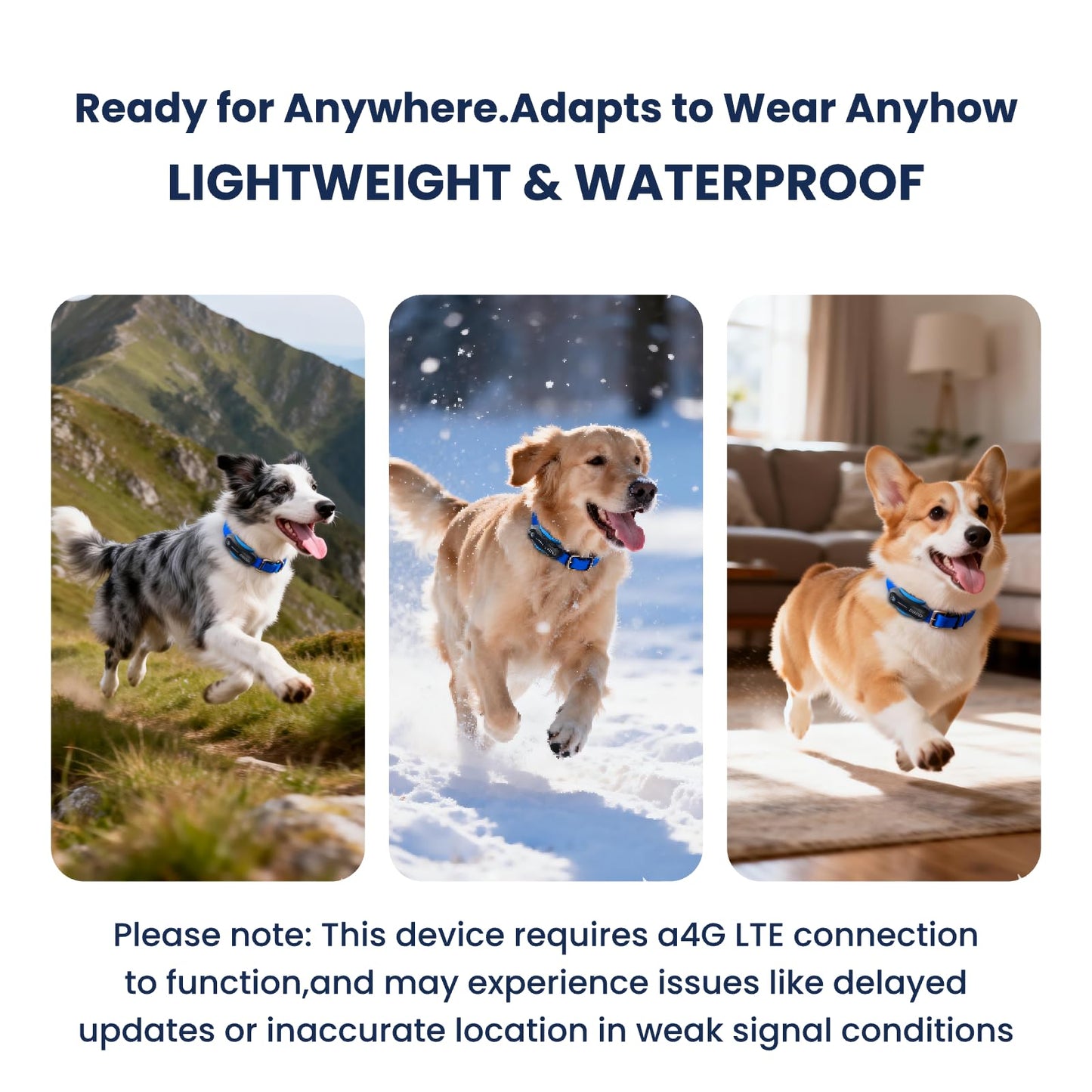 DBDD AI GPS Dog Tracker, Virtual Fence & AI Health Monitor, Waterproof