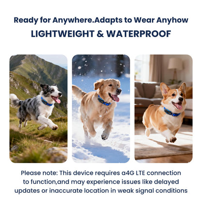 DBDD AI GPS Dog Tracker, Virtual Fence & AI Health Monitor, Waterproof