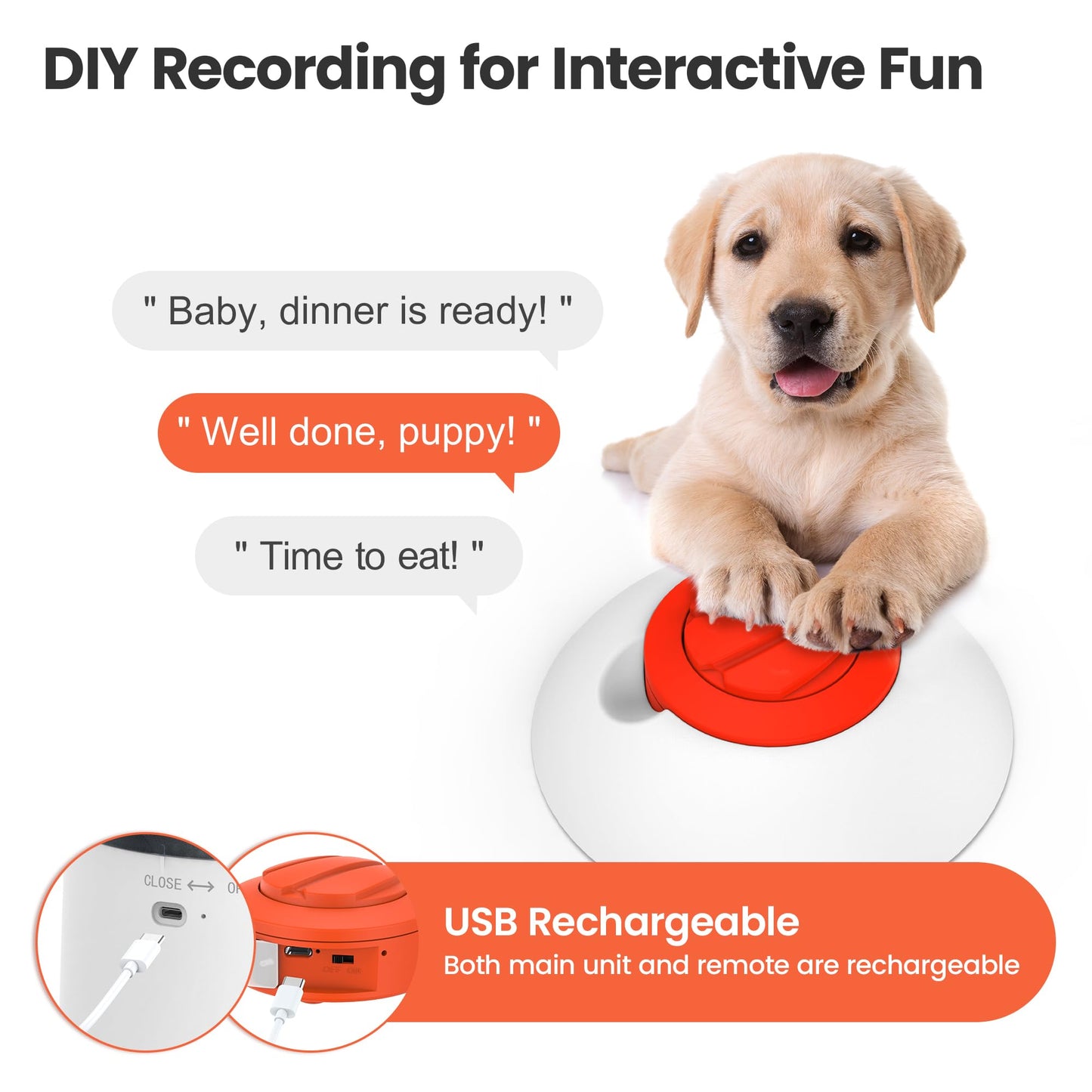Interactive Electronic Treat Dispenser & Puzzle Toy