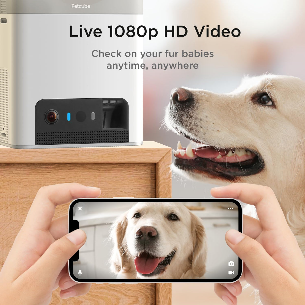 Petcube Bites 2 Lite Interactive WiFi Pet Monitoring Camera with Phone App