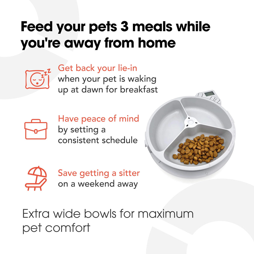 Automatic Digital Pet Feeder with Ice Pack for Cats & Dogs