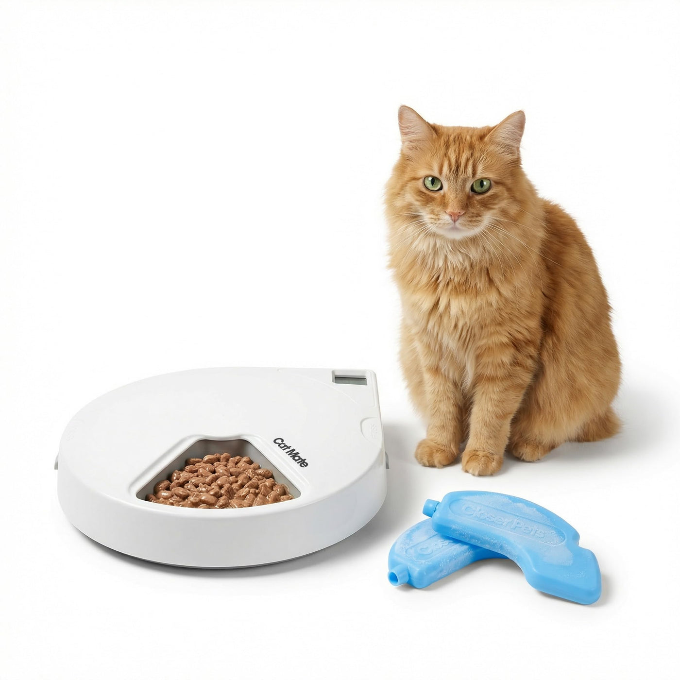 Cat Mate C500 Automatic 5 Bowl Digital Timer-Controlled Pet Feeder and Accessories