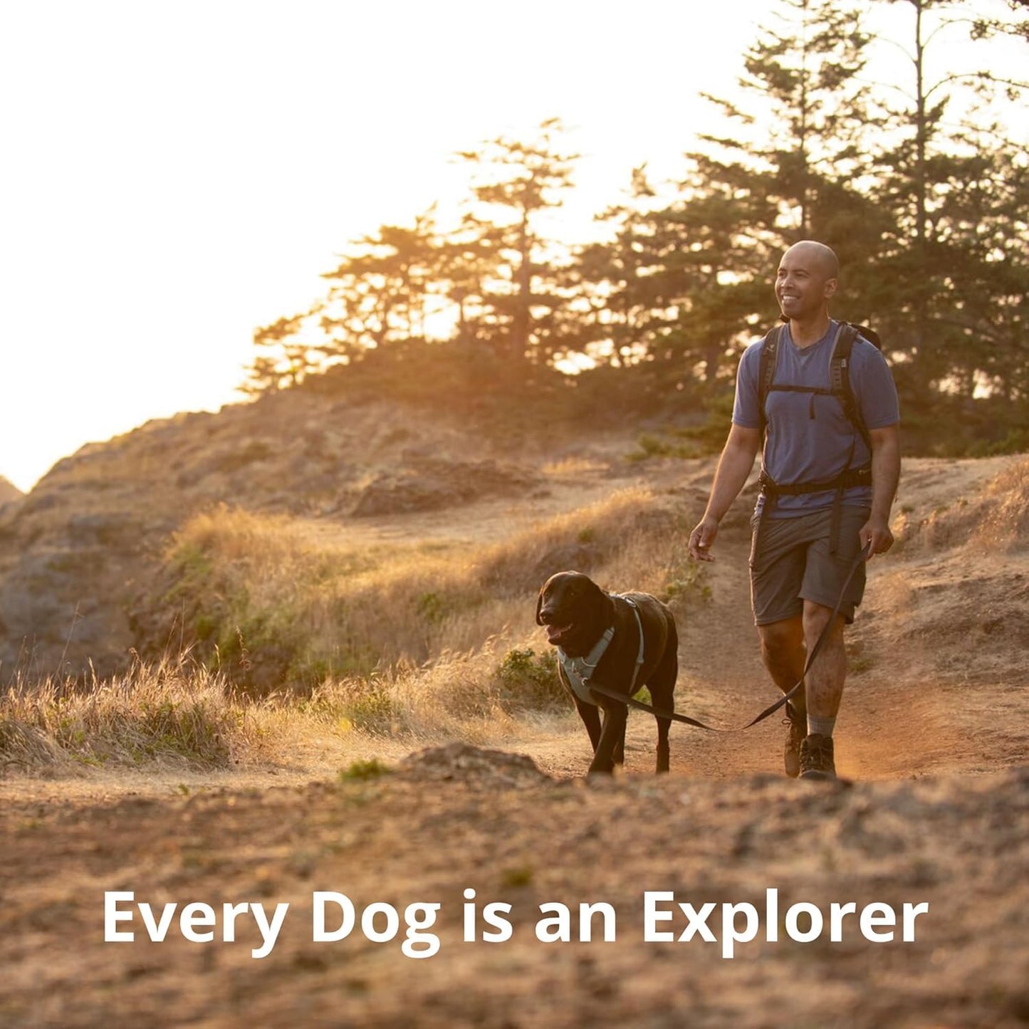 Reflective Padded Dog Harness with Dual Leash Clips