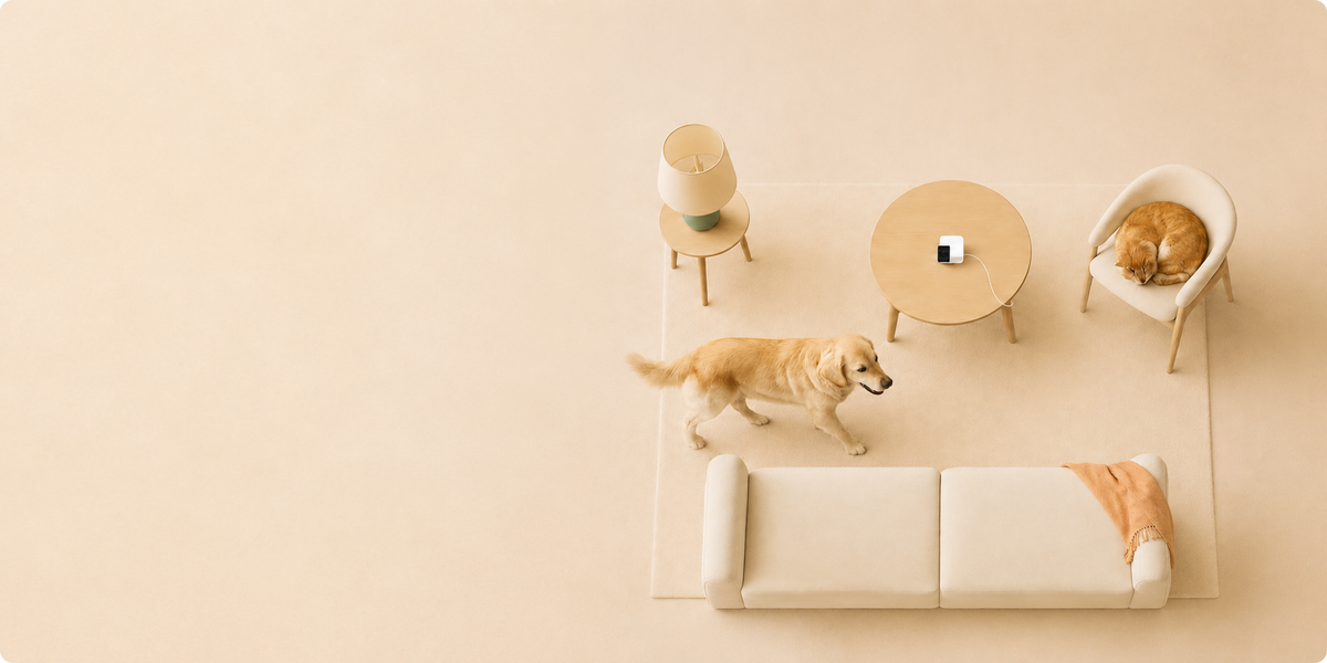 Thoughtful Tech for Happier Routines