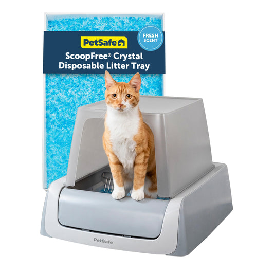 Smart Self-Cleaning Litter Box with App & Health Monitoring