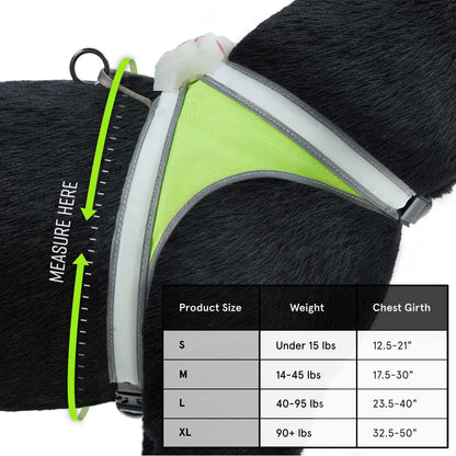 Rechargeable LED Reflective Dog Harness with Multicolor Lights
