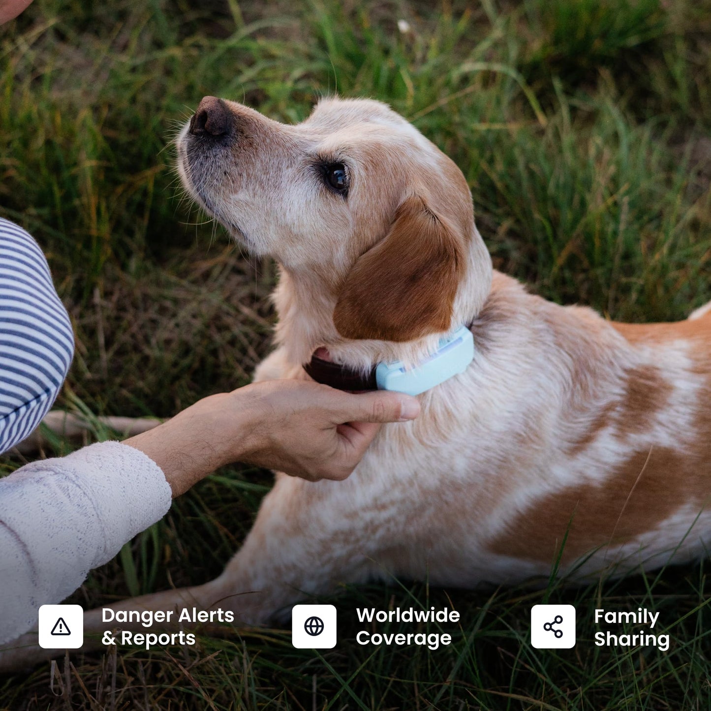 Tractive Smart Dog GPS Tracker | Live Pet Tracker with Virtual Fence | Vital Signs Monitoring of Heart & Respiratory Rate | Bark Monitoring | Dog Collar Attachment