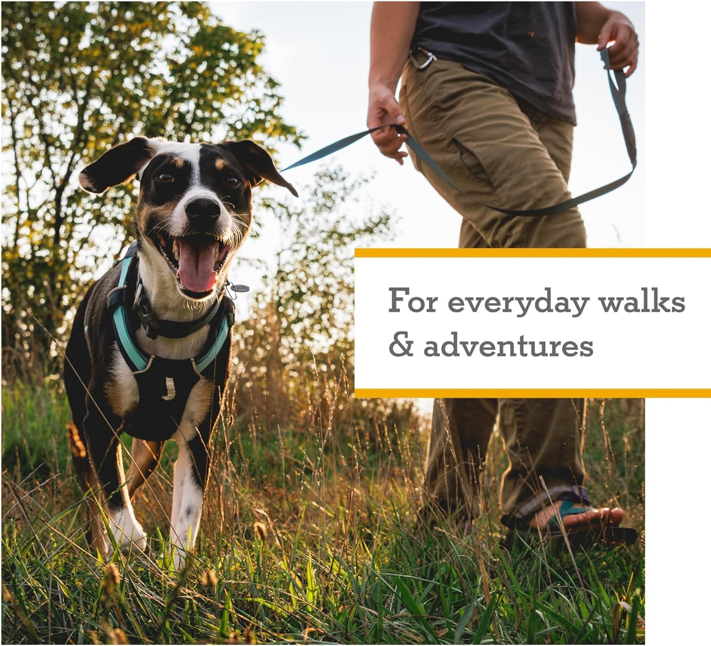 Ruffwear, Hi & Light Dog Chest Harness