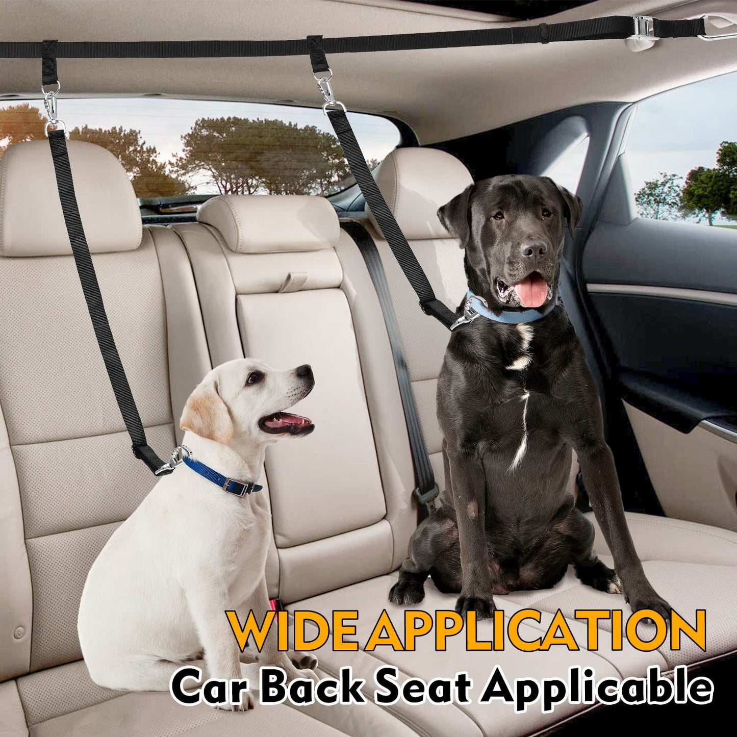 Snagle Paw Dog Leash for Truck Bed, Up to 150 lbs, 1 or 2 Dogs