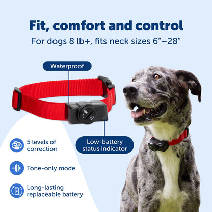 PetSafe Dog Wireless Fence System