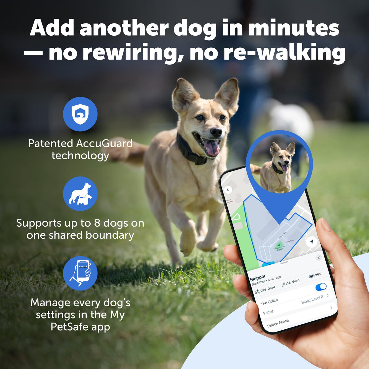 Subscription-Free GPS Dog Collar with Wireless Fence