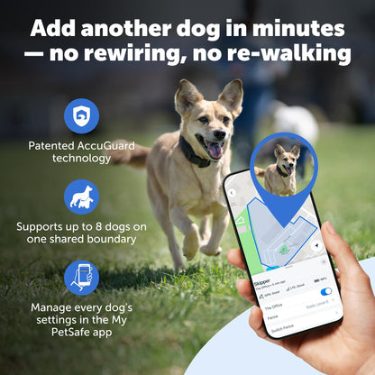 Subscription-Free GPS Dog Collar with Wireless Fence