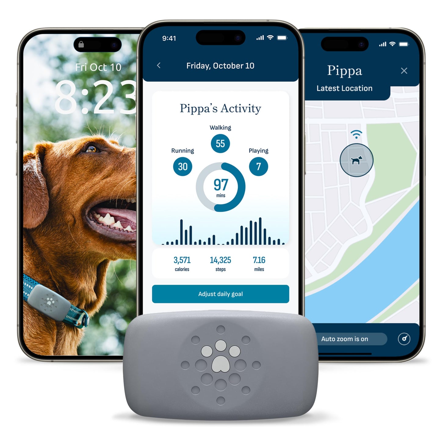 petivity Dog GPS Tracker Powered by Purina, Waterproof Real Time Tracking GPS Dog Collar, Downloadable App, Subscription Required