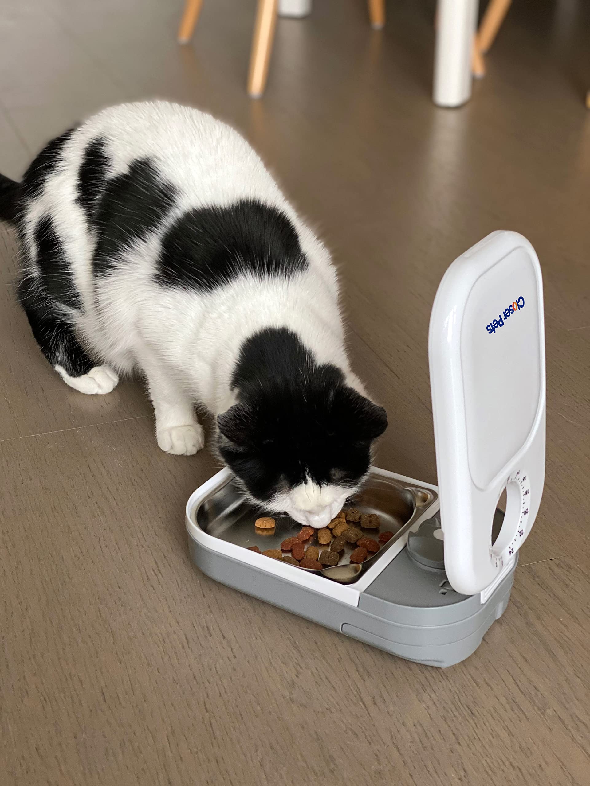 Closer Pets Automatic Timed Feeders with Stainless Steel Inserts