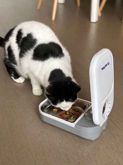 Closer Pets Automatic Timed Feeders with Stainless Steel Inserts