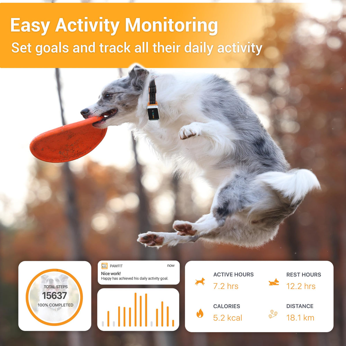 4G GPS Pet Tracker with Live Tracking & Activity Monitoring