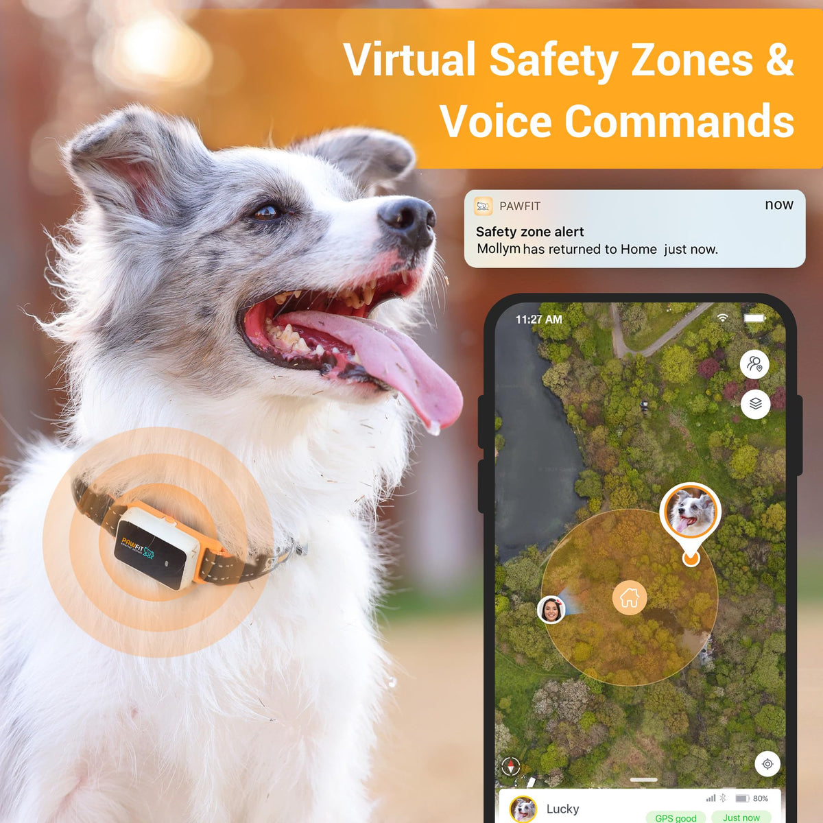 4G GPS Pet Tracker with Live Tracking & Activity Monitoring