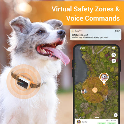 4G GPS Pet Tracker with Live Tracking & Activity Monitoring