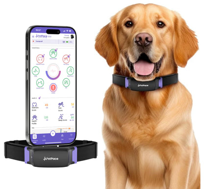 AI Dog Health Collar with Vital Signs, GPS & Vet Sharing