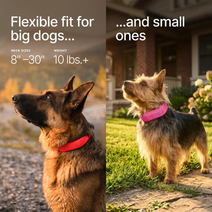 Halo Collar 5 GPS Wireless Dog Fence