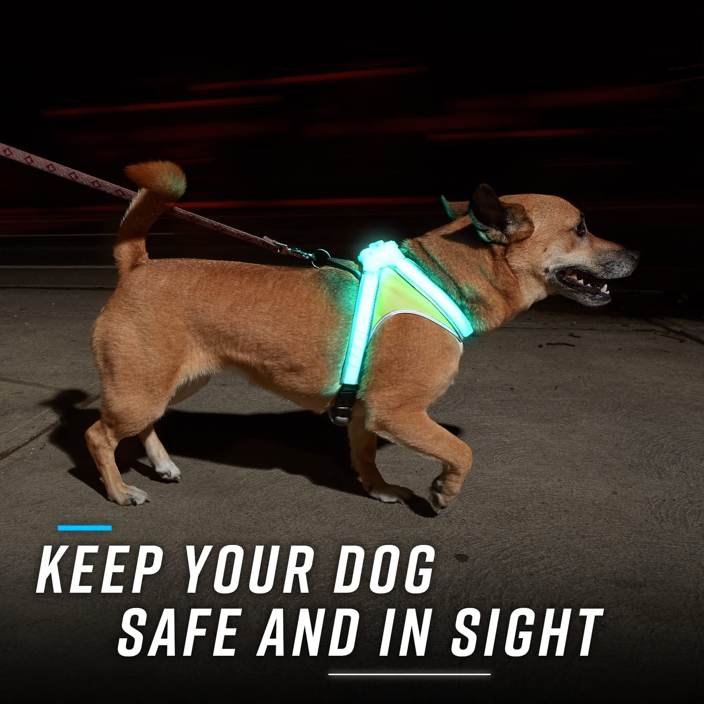 Rechargeable LED Reflective Dog Harness with Multicolor Lights