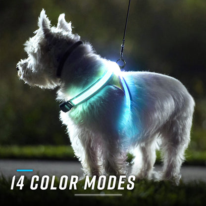 Rechargeable LED Reflective Dog Harness with Multicolor Lights