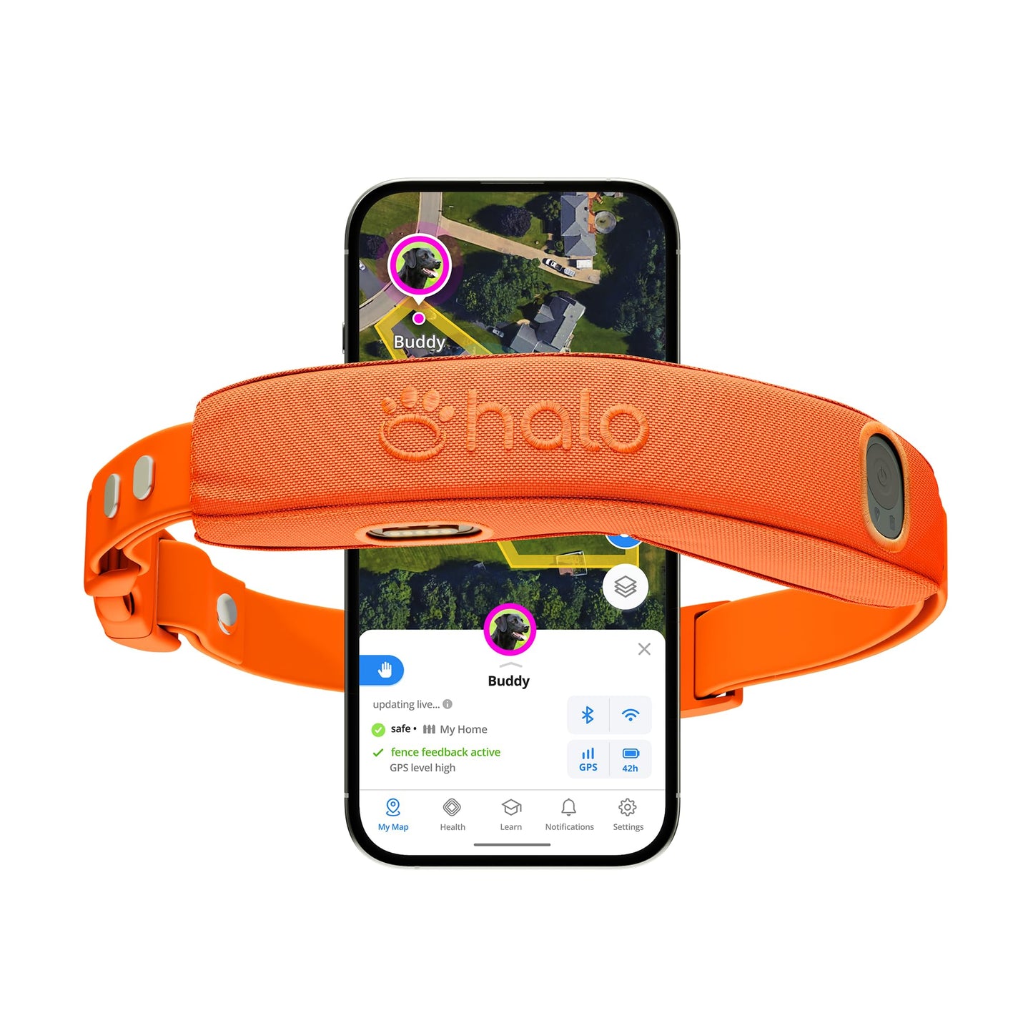 Halo Collar 5 GPS Wireless Dog Fence