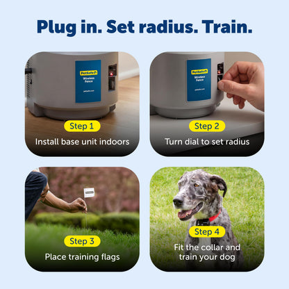 PetSafe Dog Wireless Fence System