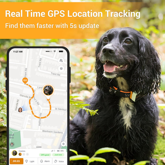 4G GPS Pet Tracker with Live Tracking & Activity Monitoring