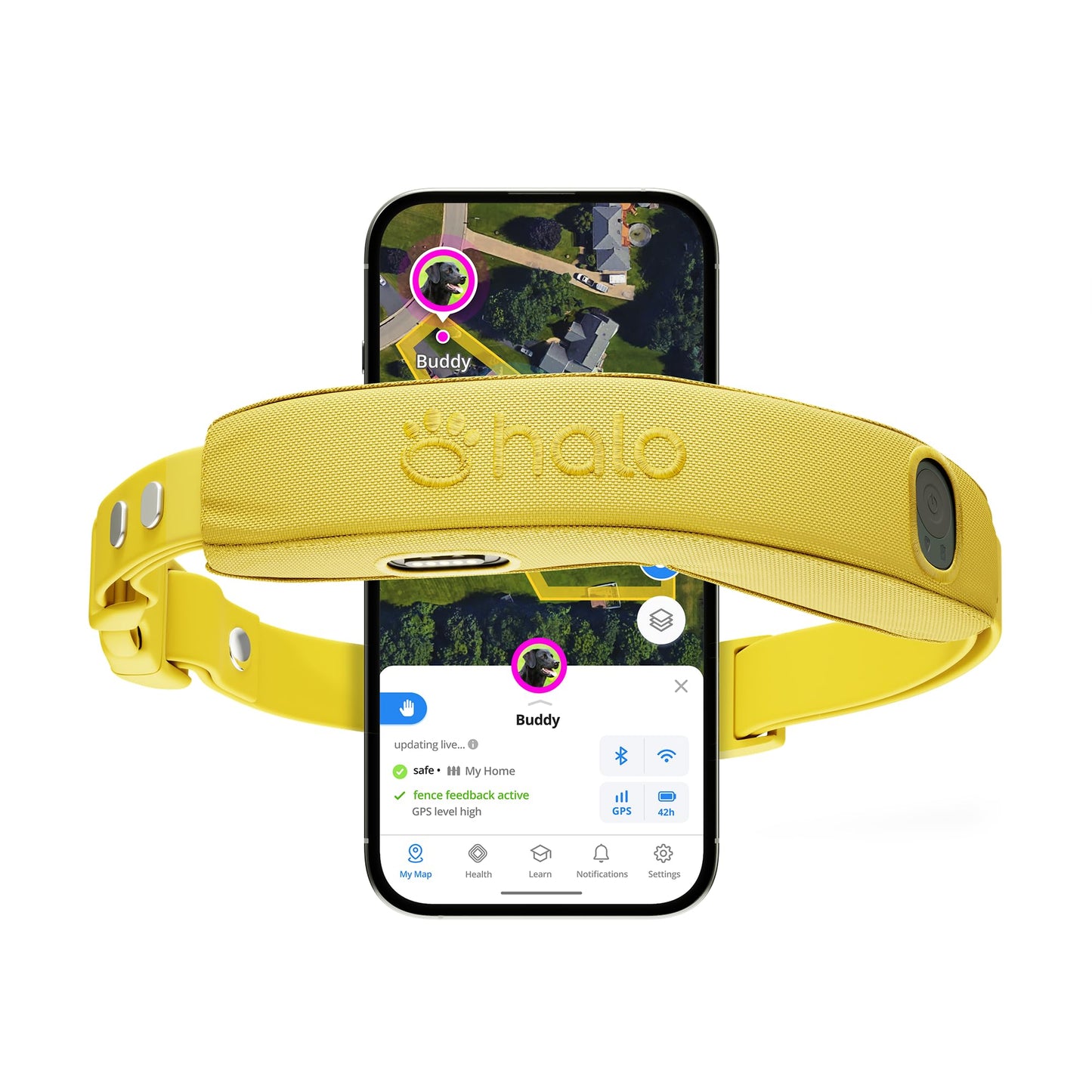 Halo Collar 5 GPS Wireless Dog Fence