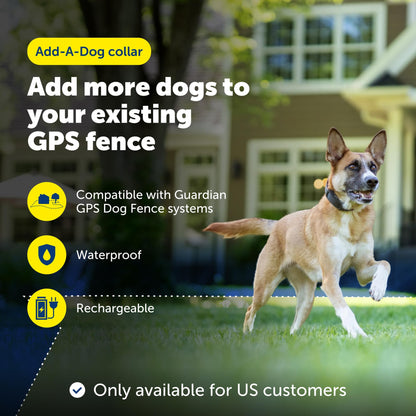 Subscription-Free GPS Dog Collar with Wireless Fence