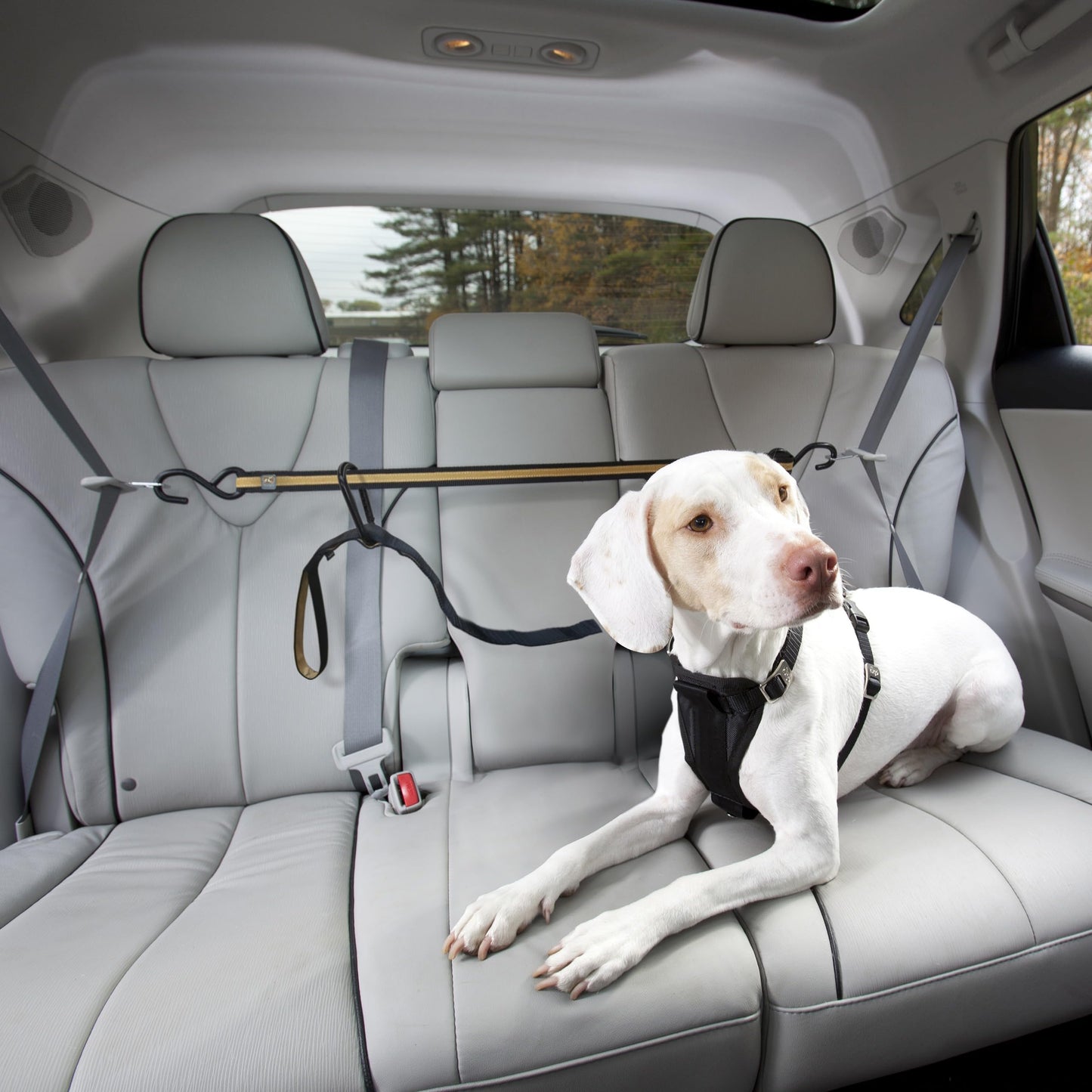 Kurgo Auto Zip Line, Backseat Zipline Harness Tether for Car Travel