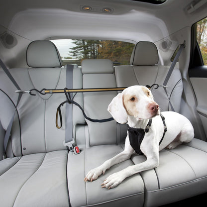 Kurgo Auto Zip Line, Backseat Zipline Harness Tether for Car Travel