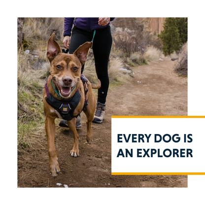 Ruffwear, Web Master Dog Body Harness