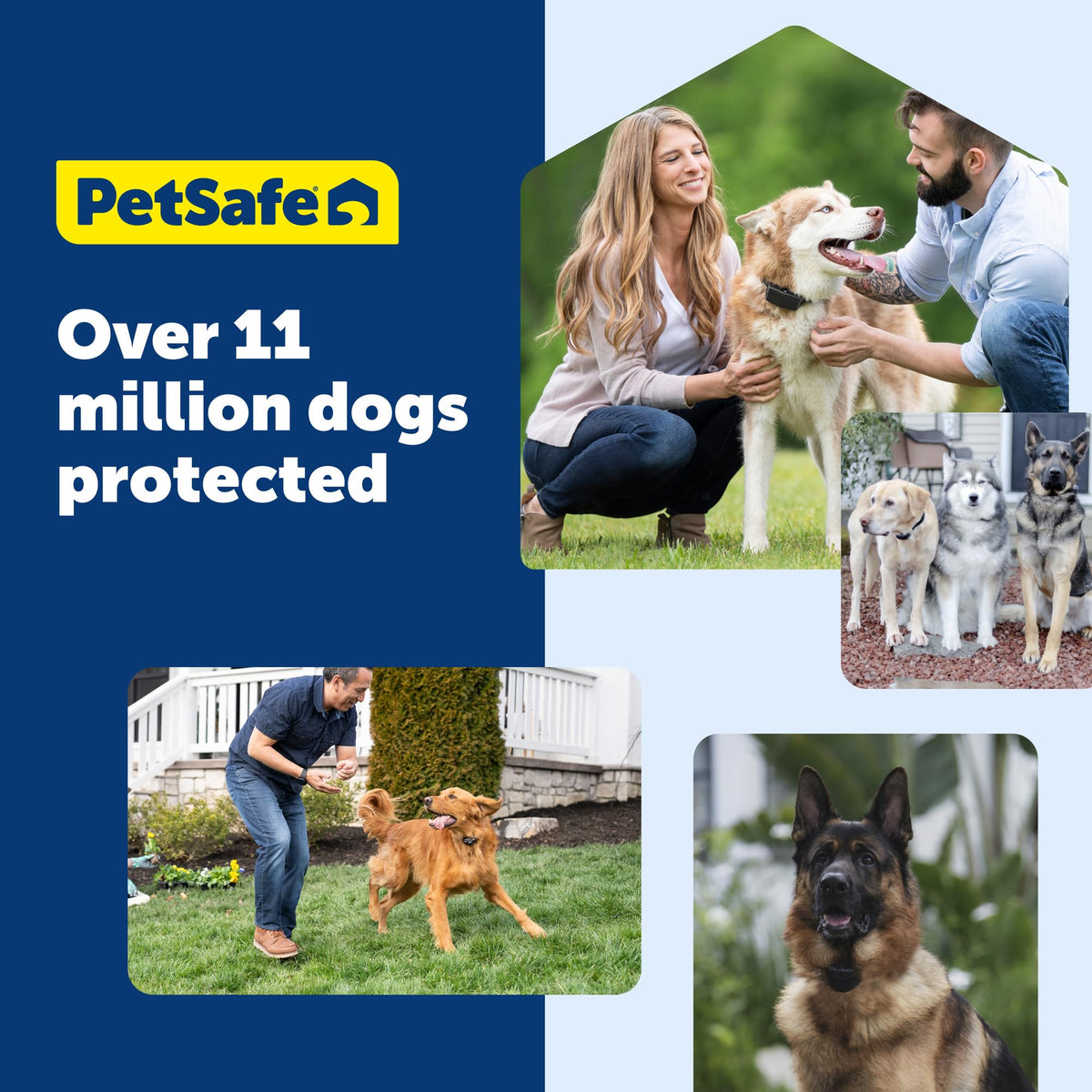 Subscription-Free GPS Dog Collar with Wireless Fence