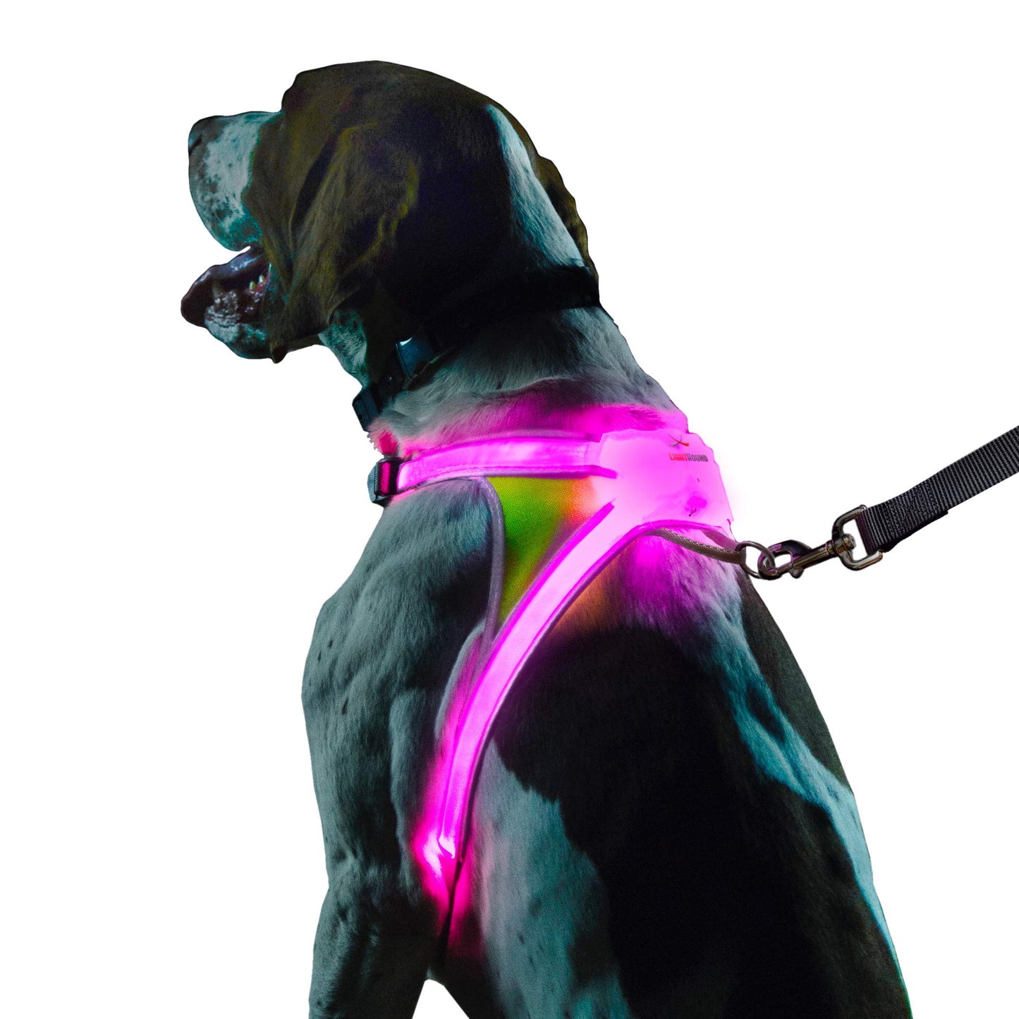 Rechargeable LED Reflective Dog Harness with Multicolor Lights